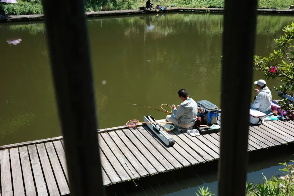 kham pha the gioi cau ca voi moi tu nhien hanh trinh cua nguoi am me