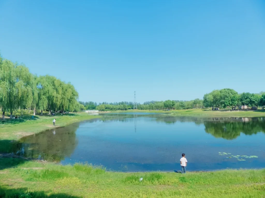 nhung su khac biet ay thu vi giua cau ca truyen thong va hien ai