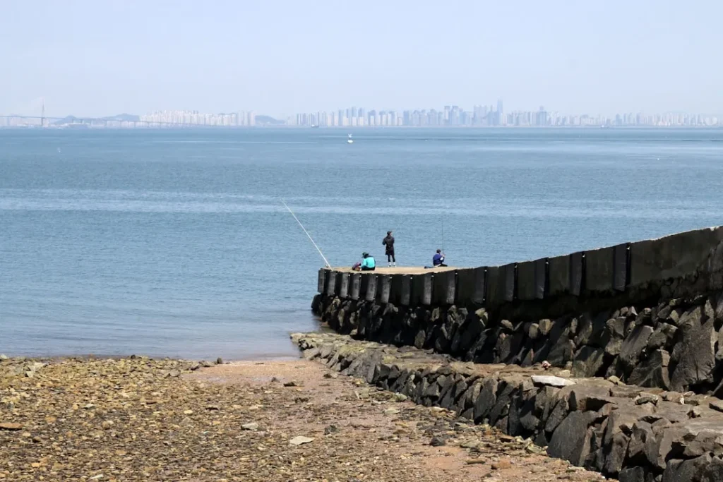 ky nghi cau ca voi fly fishing nghe thuat va ky thuat inh cao