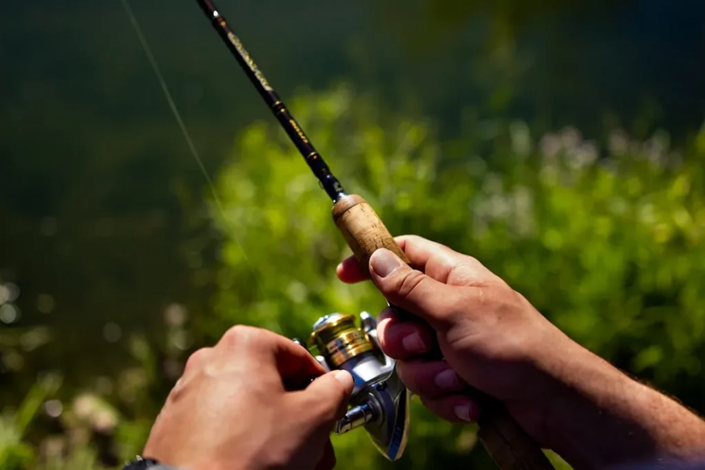 o cau noi ia va nhap khau cuoc chien cua nhung thiet bi fishing tot nhat
